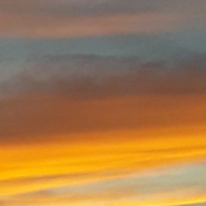 Meet your Posher, Niki